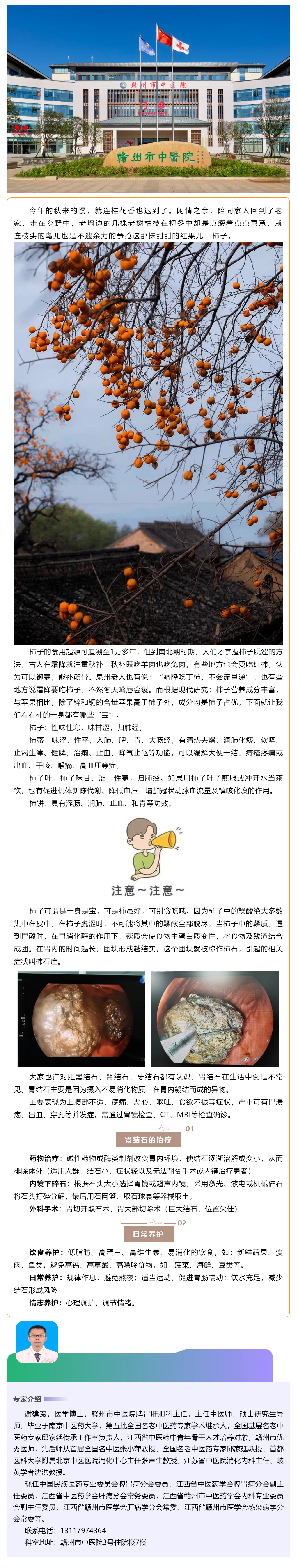 【科普】多“柿”之秋，愛吃柿子的你，小心胃石癥.png